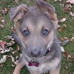 Meet your Posher, Stacy